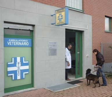 ambulatorio veterinario, medico veterinario, cura aminali